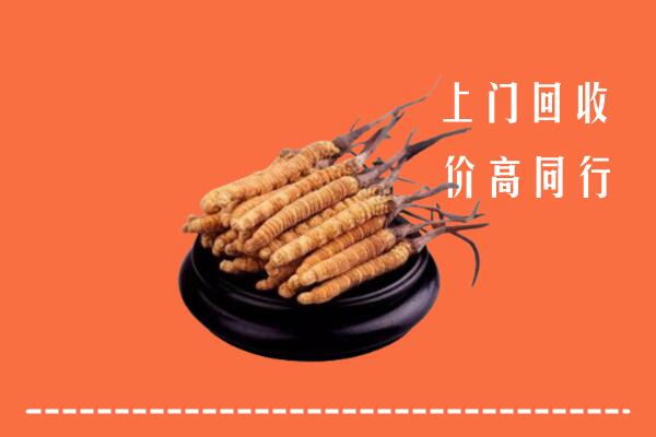 高价求购：南岳区回收散虫草