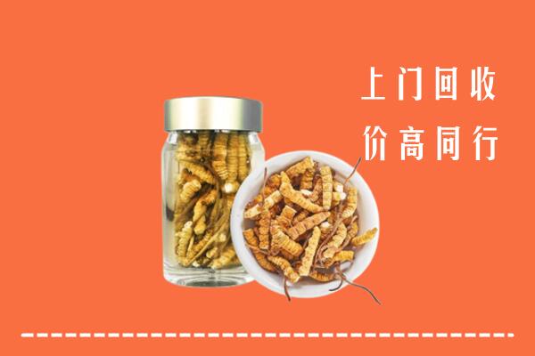 南岳区回收冬虫夏草
